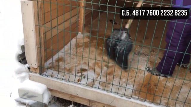 Приют для бездомных животных" Муха"