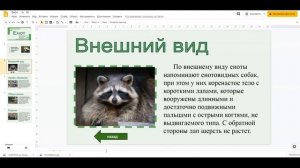 Гиперссылки в презентациях