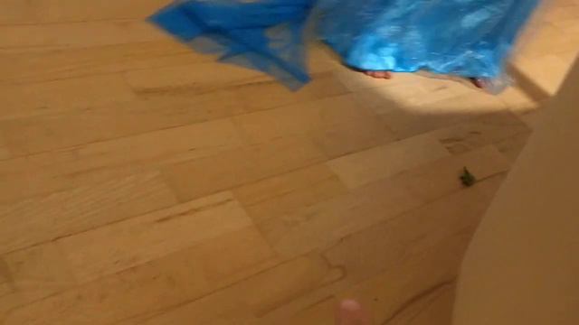 Лиса приносит мелкие игрушки