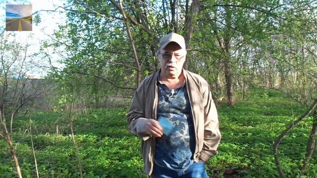 Как писать правильно приставку в слове без или бес