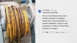 АПВОУТ - Самые абсурдные и нелепые "научные" вопросы. ЭКСЛЮЗИВ С ТГ