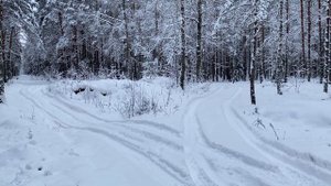VOLVO XC60 SNOW & FOREST (2010 AWD D5 205HP)