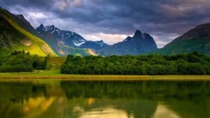 Вы не человек [Роберт Адамс]