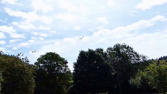 F- 135- Откуда появляются дети HD смотреть онлайн