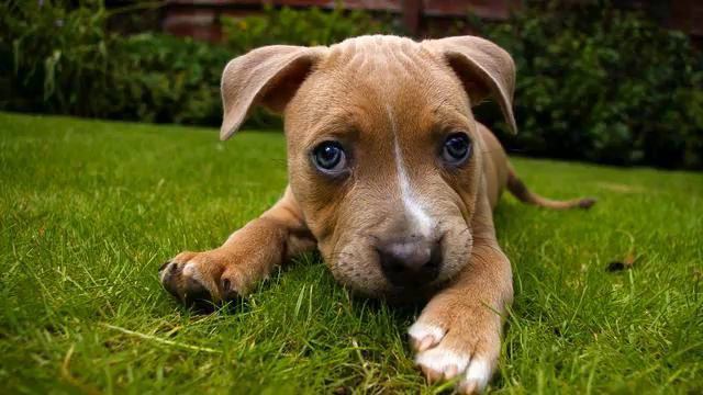 Музыка с русского радио. Хит осени! Вы просто должны... смотреть онлайн