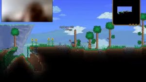 Terraria #1 Шалашик и камень :Прохожение игры :)