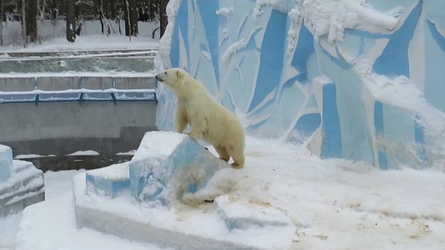 Медвежата наигрались 04.01.2020 смотреть онлайн
