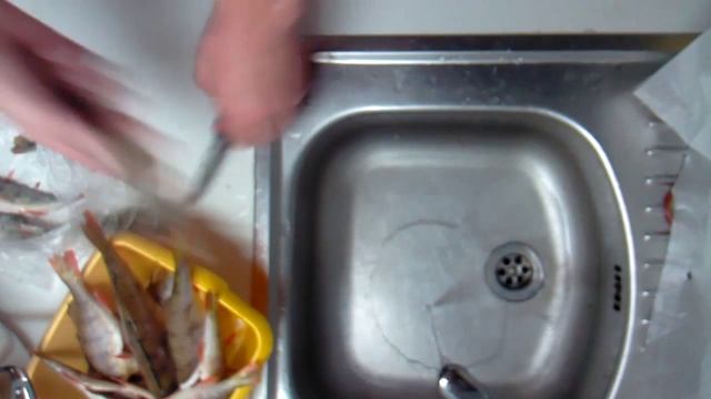 Как чистить окуня. Легкий способ. смотреть онлайн