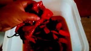 Даём перец пчелам по новому !!!