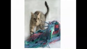 Вебинар "Изба-вязальня"- 1 год!