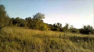 что делать если постоянно спускает колесо на автомобиле!