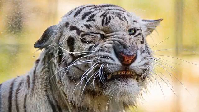 Best of Russian Music . Красивая медленная песня. Обожаю! смотреть онлайн