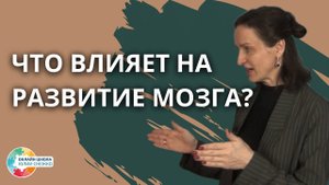 Взаимодействие. Как влияет на развитие мозга. Аутизм, ЗПР, ОВЗ.