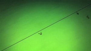 Chop Socky Chooks | Opening Theme (English) (HD)