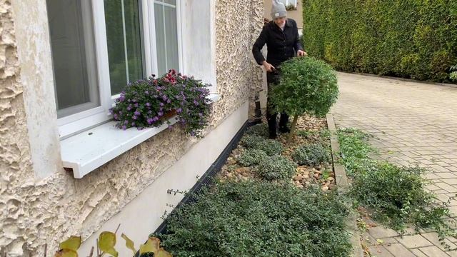Клумба 5 метров, а разговоров как будто поле картошки выкопала?#садогород #отдых #такаяжизнь
