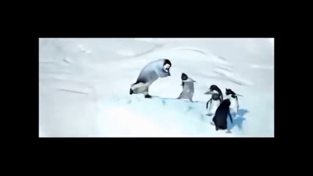 Happy Feet - Happy (Pharrell Williams)