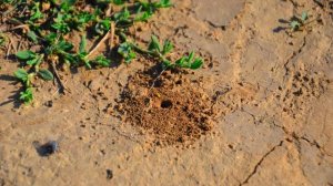 Мой Иркутск. Фото экскурсия ЖК Луговое. Микрорайон Луговое.