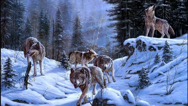 Как Волк спас маленькую девочку: от неминуемой гибели... смотреть онлайн