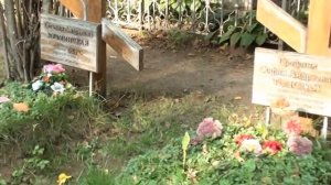 Кладбище Кочаки, где похоронены родственники Льва Толстого