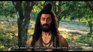 Почему нельзя рубить деревья