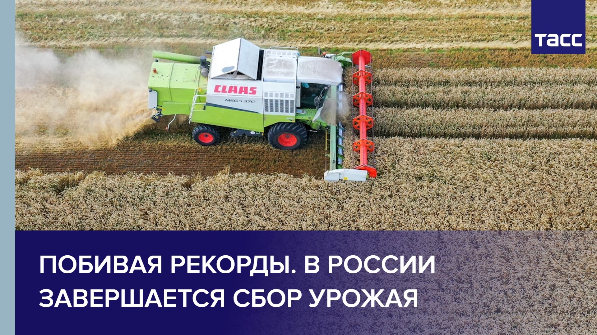 Побивая рекорды. В России завершается сбор урожая