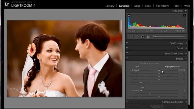 Lightroom. Тонирование фотографий. (Евгений Карташов, Фото-Монстр)