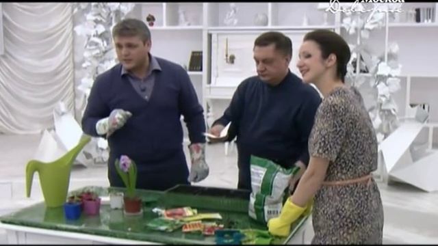 Выращивание рассады с Андреем Тумановым смотреть онлайн