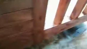 Хозблок для дачи с душем туалетом и дровником для дачи