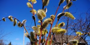 Пасха. Дом в деревне