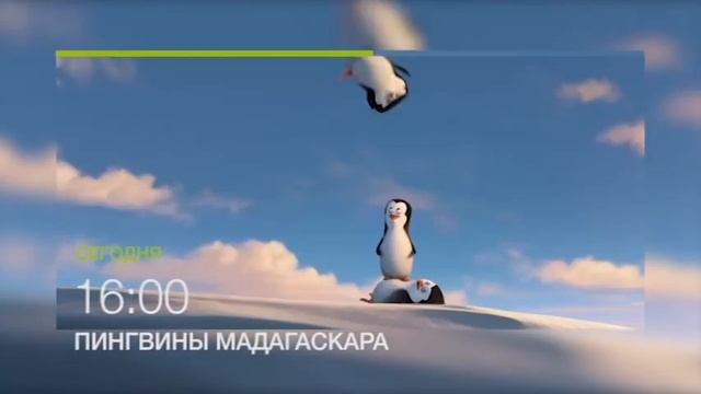 Сумасшедше веселые "Пингвины Мадагаскара" в 16.00 на НТК 15 июля (анонс) смотреть онлайн