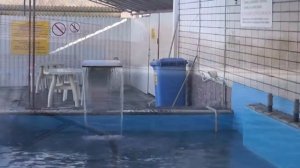 горячие источники с. Казьминское Ставропольский край