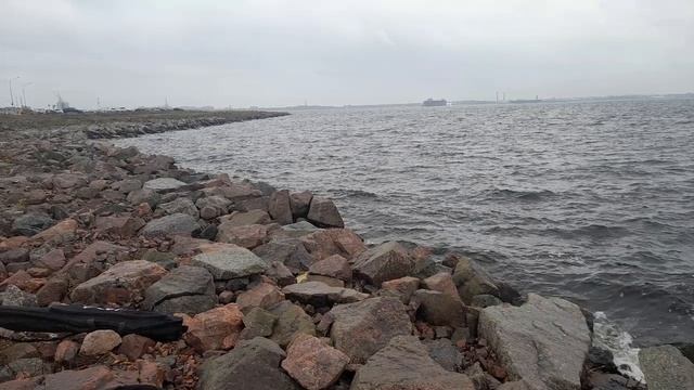 Рыбалка на Финском заливе. Отчёт за 12.11.2023. Дамба, южная ветка.