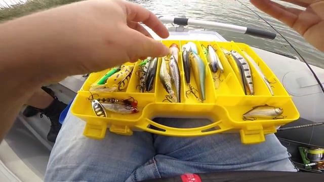 Ловля окуня и щуки на спиннинг осенью, обзор лески WFT Gliss смотреть онлайн