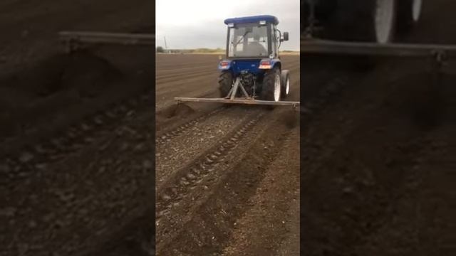 Прокладываем траншеи под осеннюю посадку малины