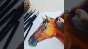 Вот как можно нарисовать обычными цветными карандашами?✏