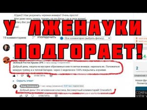 Укоренить черенки. Укоренение черенков инжира - Главное Видео! Лучший способ проращивания черенков.