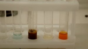 Получение и свойства сероводорода / obtaining and properties of hydrogen sulfide