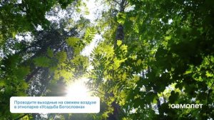 ЖК Невская Долина