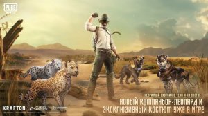 PUBG MOBILE | Новый компаньон Леопард!