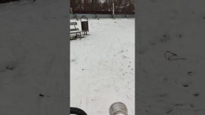 Мотоблок глохнет под  нагрузкой