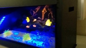 Электрокамин Dimplex Aqua-V electro-kaminy.ru 8(495)543-8-678