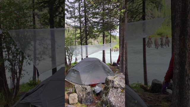 СУПЕРЛËГКИЙ ТЕНТ для похода. #лучшийпоходныйтент #поликро смотреть онлайн