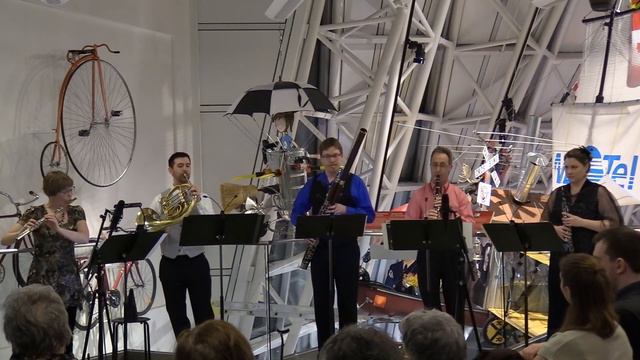 Music for the Birds - Woodwind Quintet #1 by David Picton смотреть онлайн