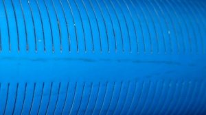 Обман при бурении скважин на воду