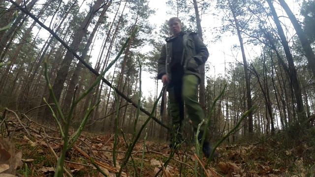 Возвращение лесных похождений|||Отправляемся в новый путь смотреть онлайн