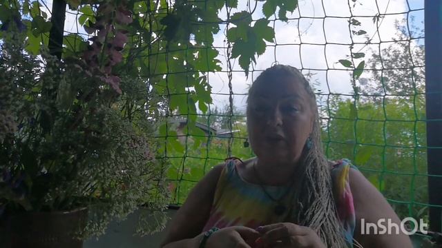 МОЖНО ЕЗДИТЬ В ТУРЦИИ НА МАШИНЕ С ПРАВЫМ РУЛЁМ? КАК ПЕРЕЕХАТЬ В ТУРЦИЮ ОДНОЙ?