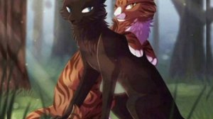 История Грача?⬛/Коты воители
