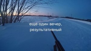 охота на лису с карабином 2020.mp4