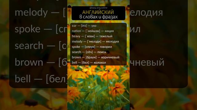 ❌ НАЧИНАЕМ УЧИТЬ АНГЛИЙСКИЙ | 📚 Основы английского языка: учимся говорить и понимать