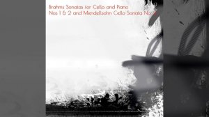 Cello Sonata No. 2 in D Major, Op. 58: II. Allegretto Scherzando